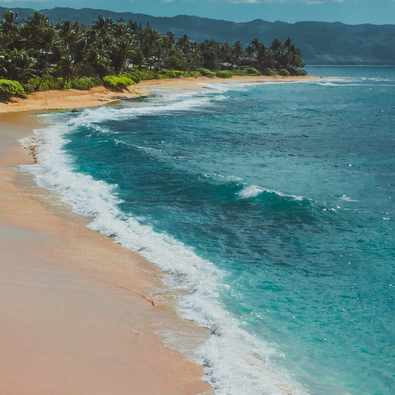 hawaii beach image